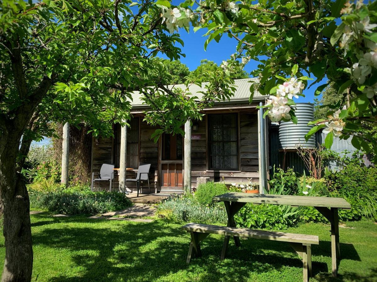 Cherry Plum Cottages 포트페어리 외부 사진